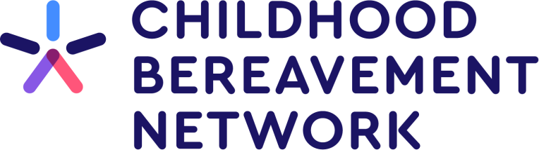 CBN Logo